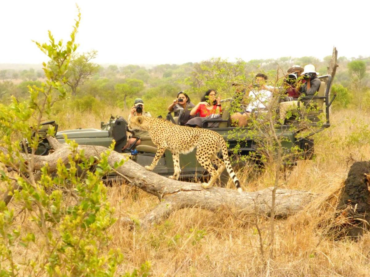 Umkumbe Safari Lodge Riverside Skukuza Ngoại thất bức ảnh