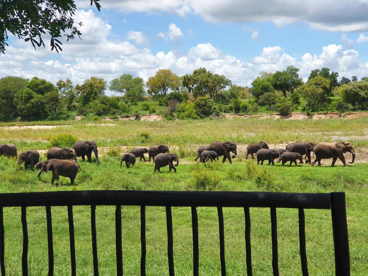 Umkumbe Safari Lodge Riverside Skukuza Ngoại thất bức ảnh