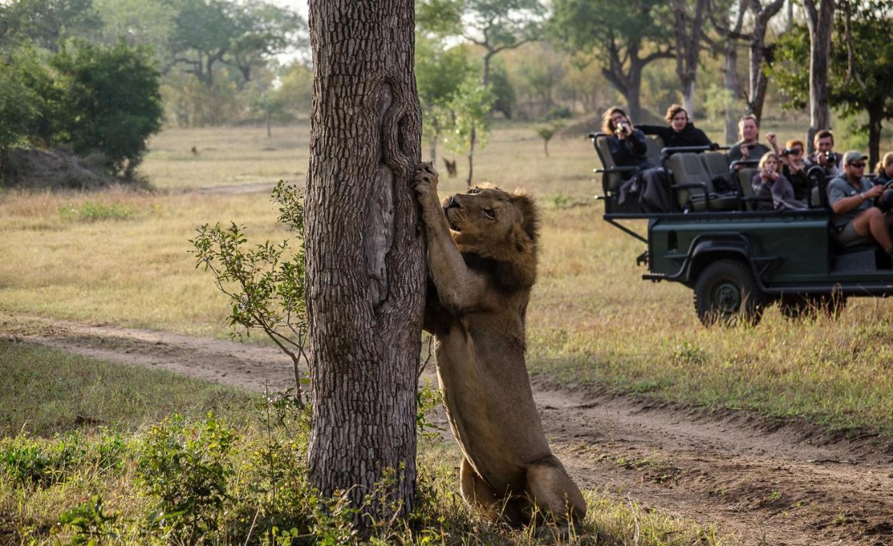 Umkumbe Safari Lodge Riverside Skukuza Ngoại thất bức ảnh